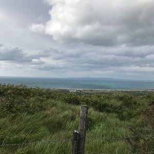 Meet your Posher, Judy